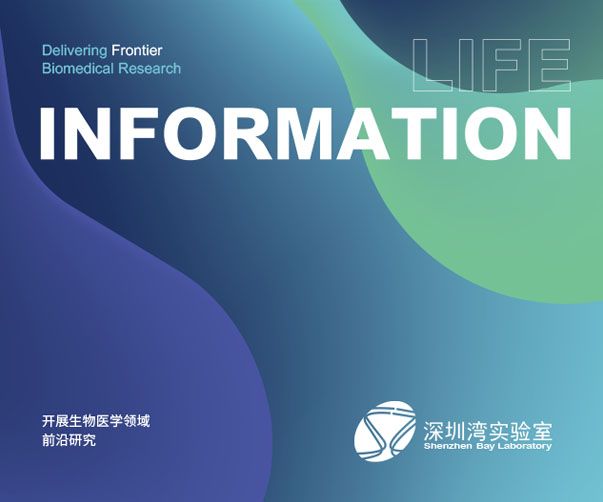 酒店標識標牌制作_ 打造專業酒店標識設計方案