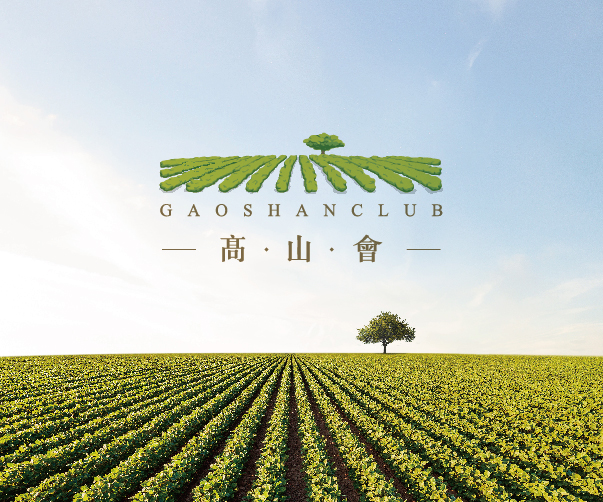 無錫畫冊設計公司為顧客出示沉浸式體驗的體驗