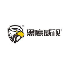 黑鷹威視
