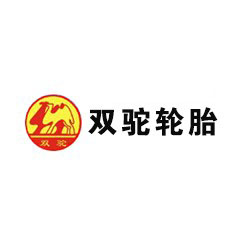 雙駝輪胎