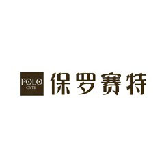 保羅賽特