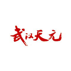武漢天元