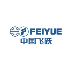 飛躍集團