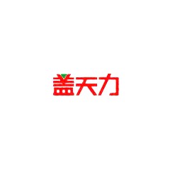 蓋天力