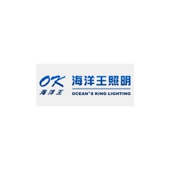 海洋王