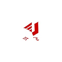 今飛控股