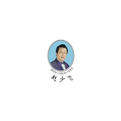 趙少飛