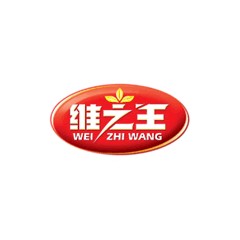 維之王