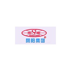 鳳陽集團