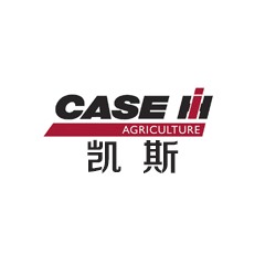 凱斯